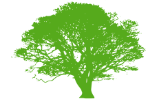 Oshan Trees Inc.